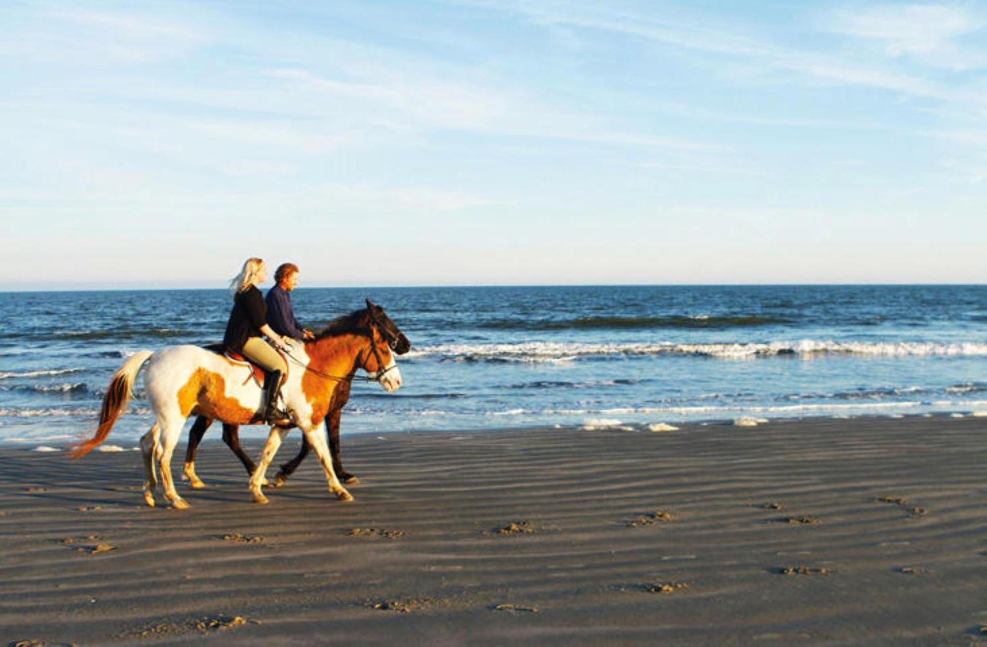 1313 Pelican Watch - Seabrook Island - Beachfront 5 Star Condo - Fido Friendly Kültér fotó